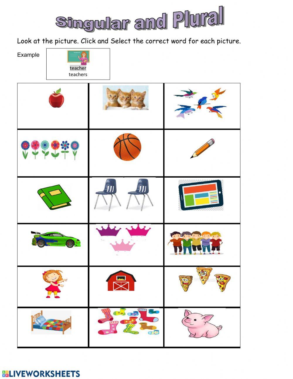 Singular and Plural Noun first grade