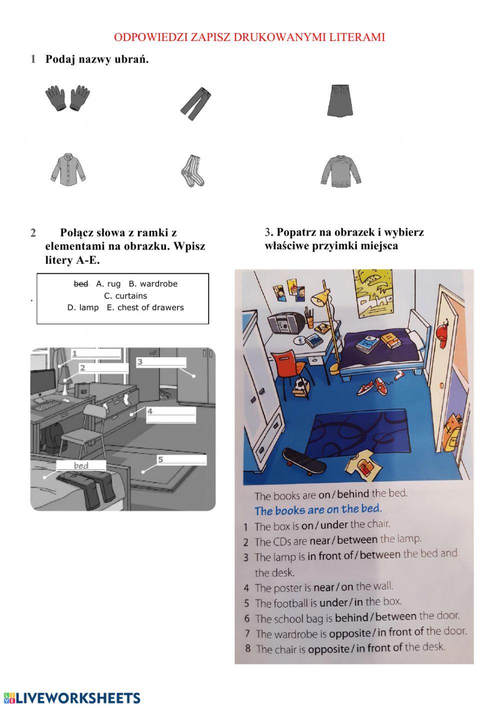 Team up plus 4 unit 5 test