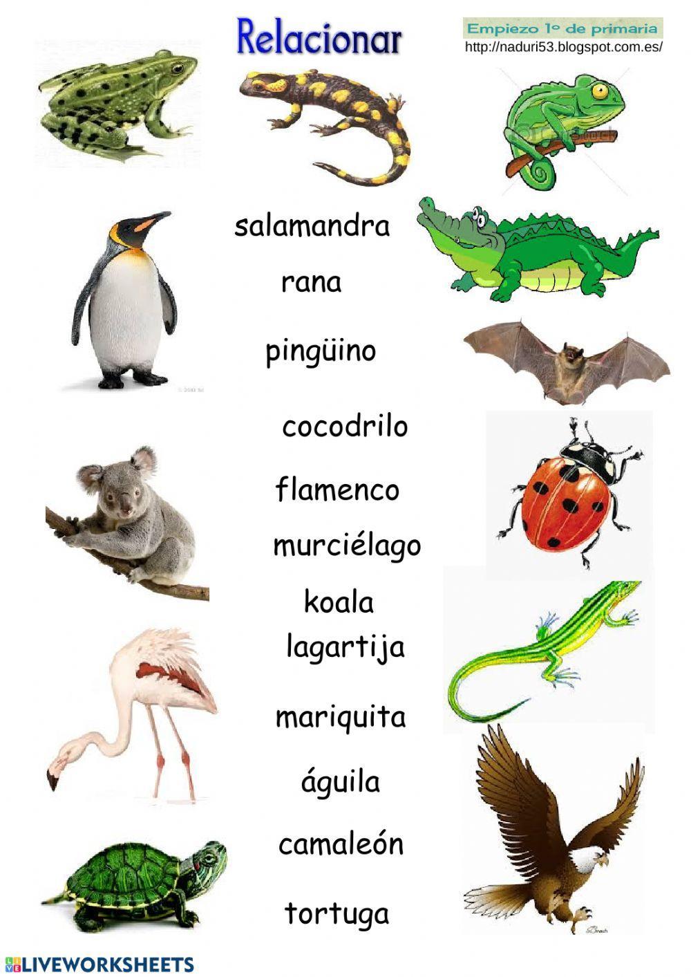 Vocabulario ropa-animales-colegio