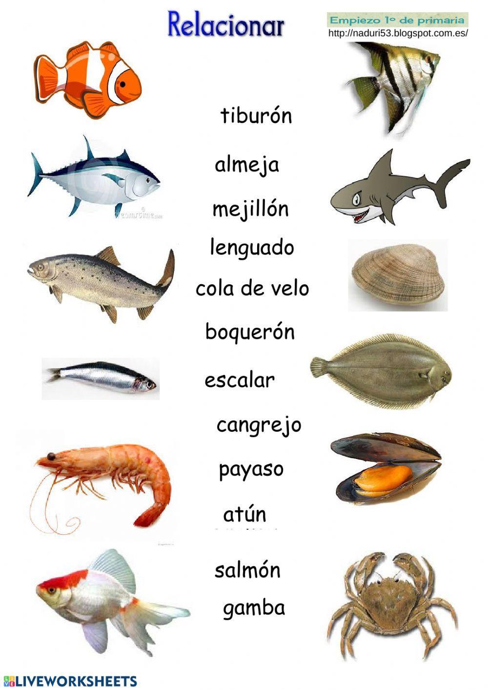 Vocabulario ropa-animales-colegio