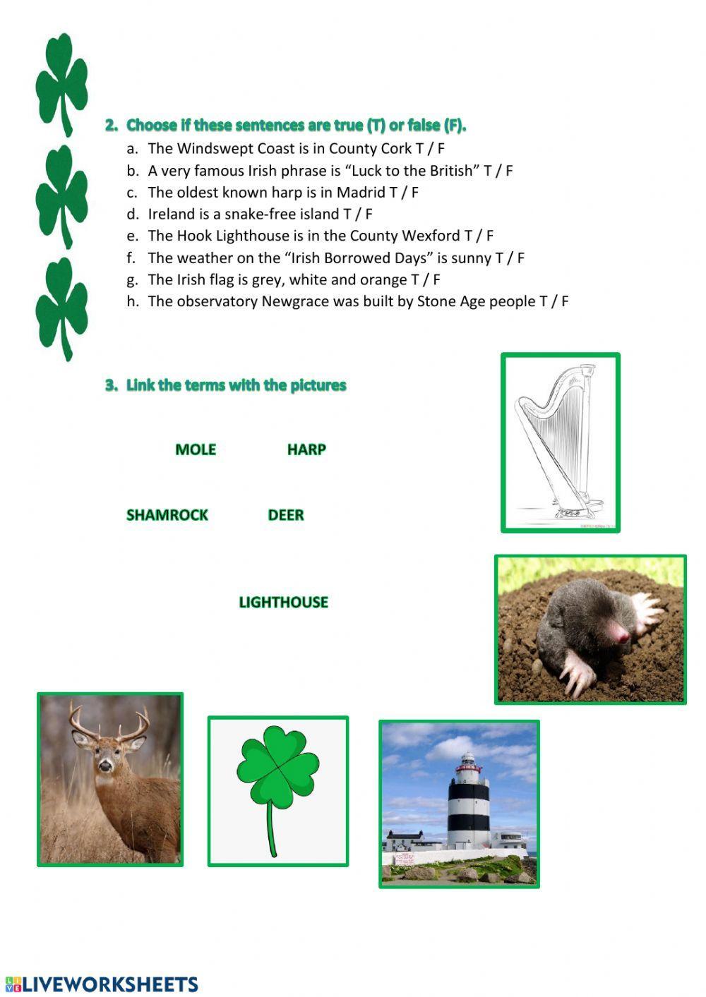 Irish Culture for Teens