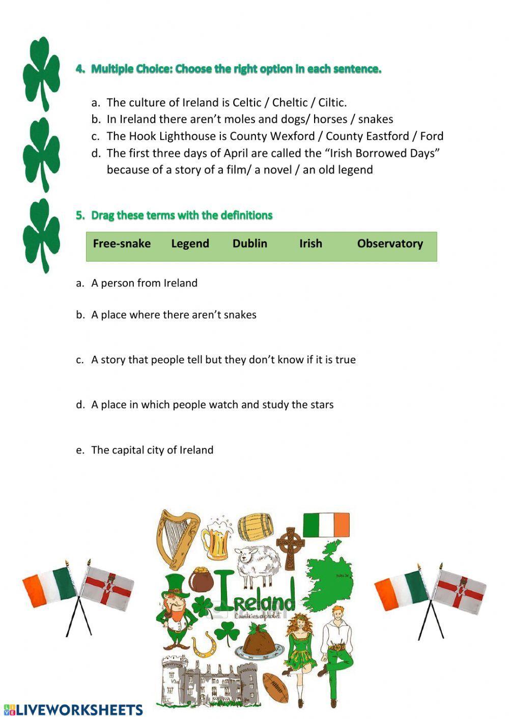 Irish Culture for Teens