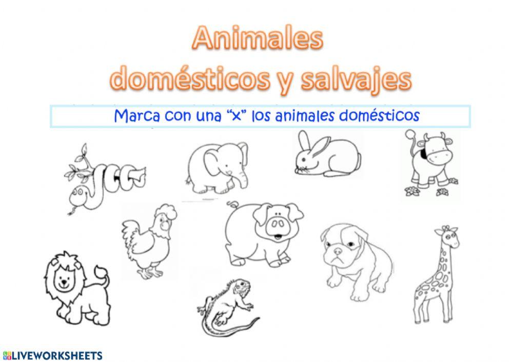 Animales domésticos y salvajes