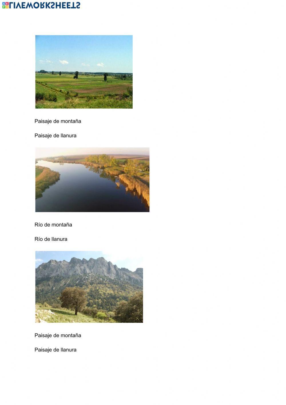 Paisajes de interior