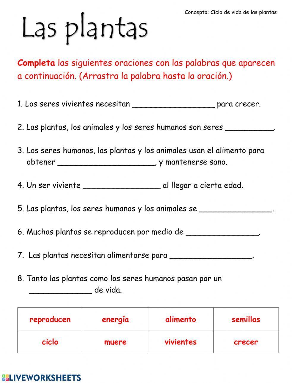 Ciclo de vida de las plantas