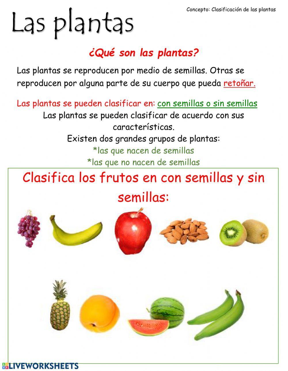 Clasificacion de las plantas