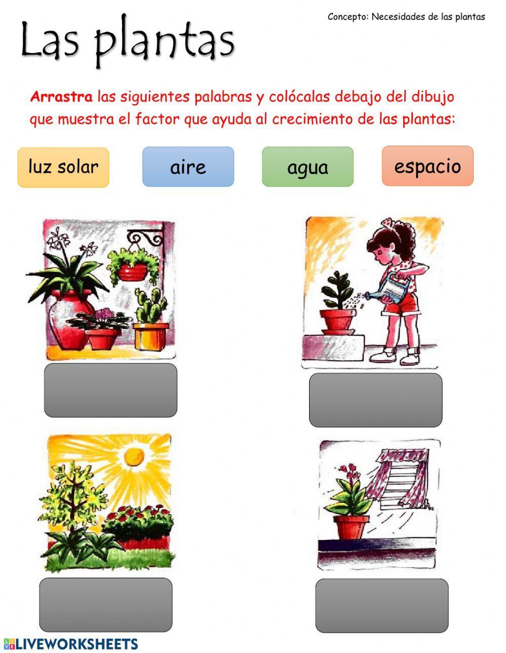 Necesidades de las plantas