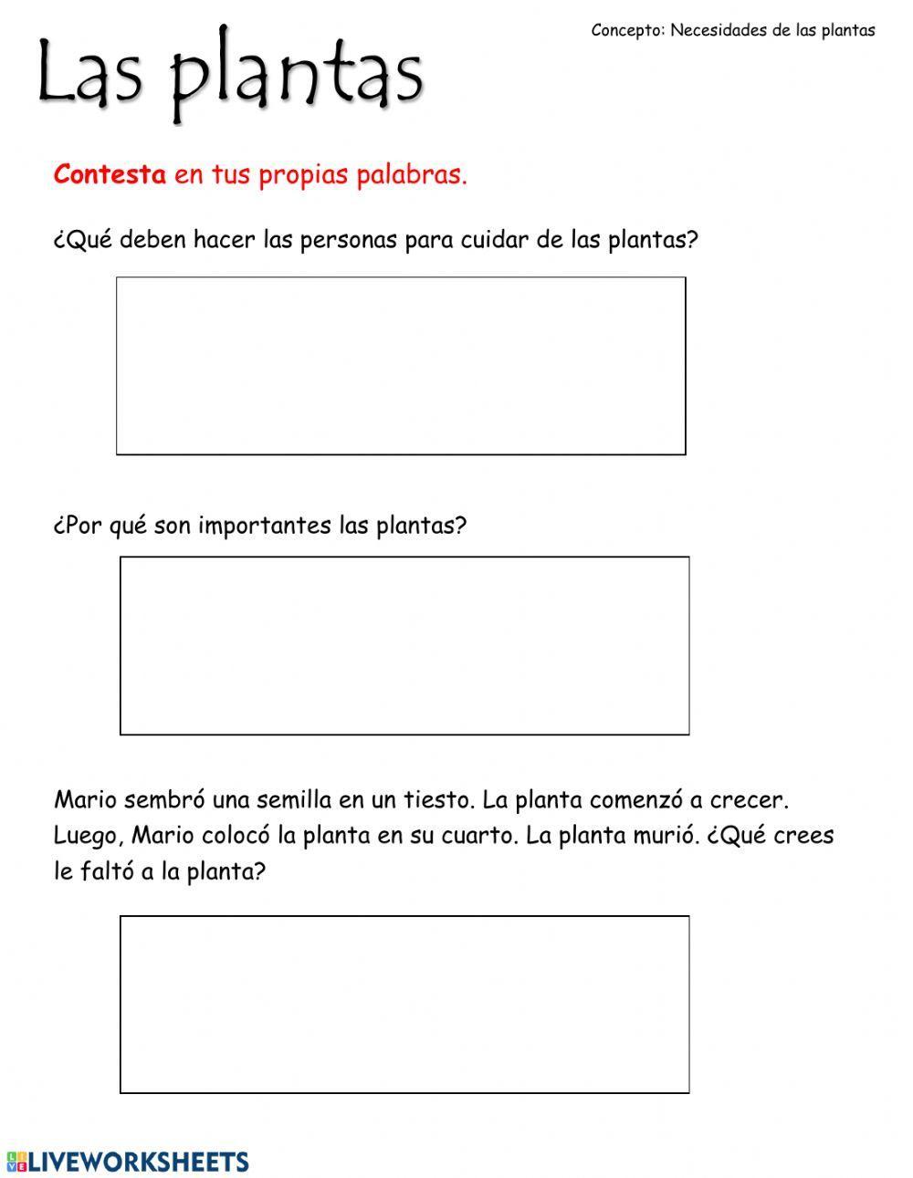 Necesidades de las plantas