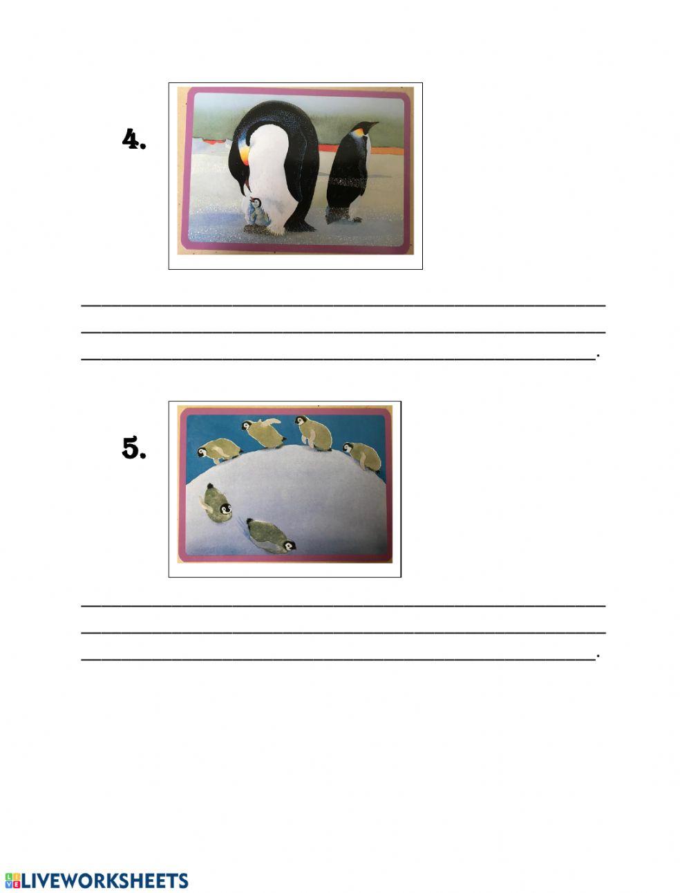 El pingüino polluelo: comprensión