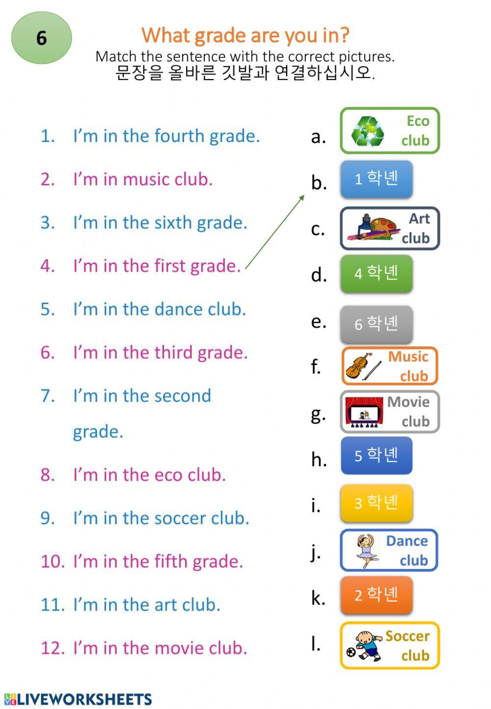 What grade are you in?