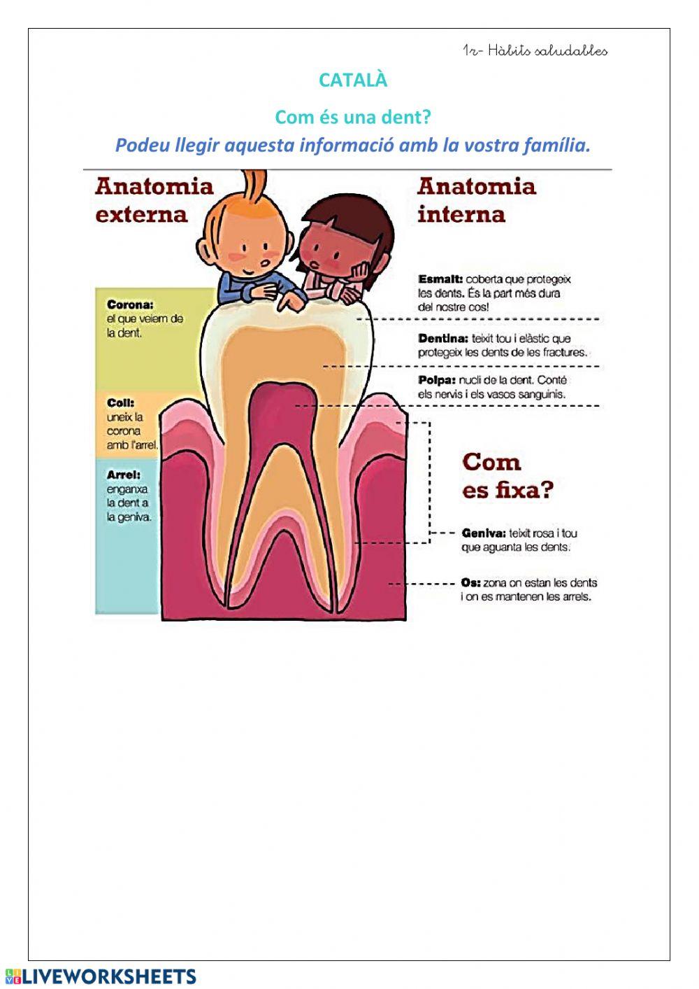 Setmana 15-06 habits saludables