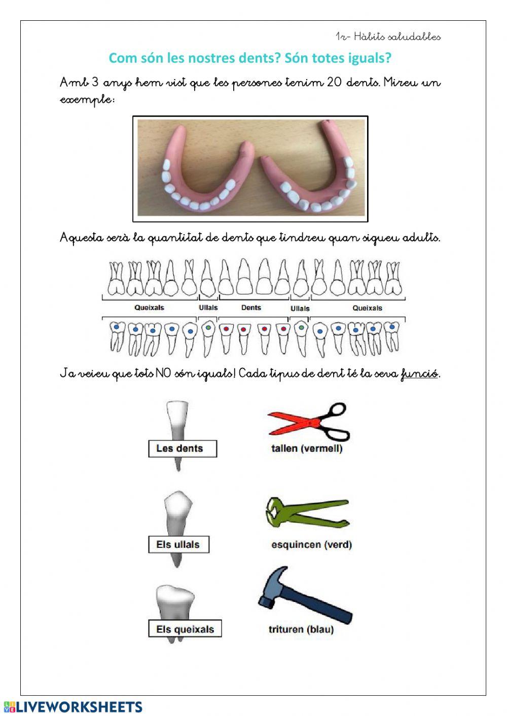 Setmana 15-06 habits saludables