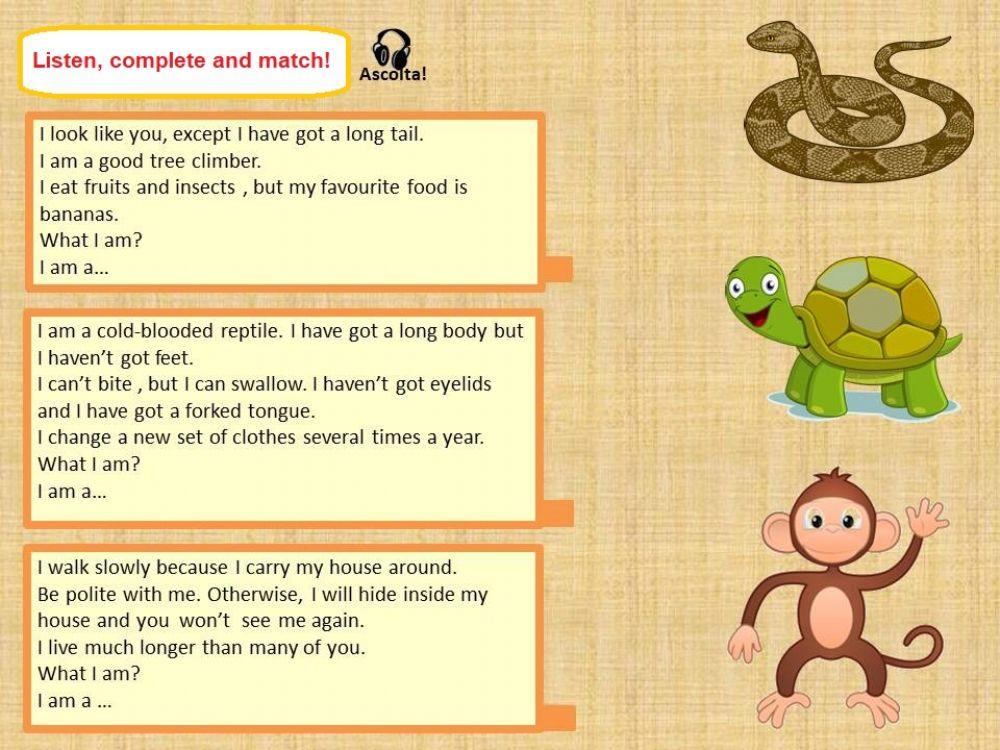 Riddles about animals 1