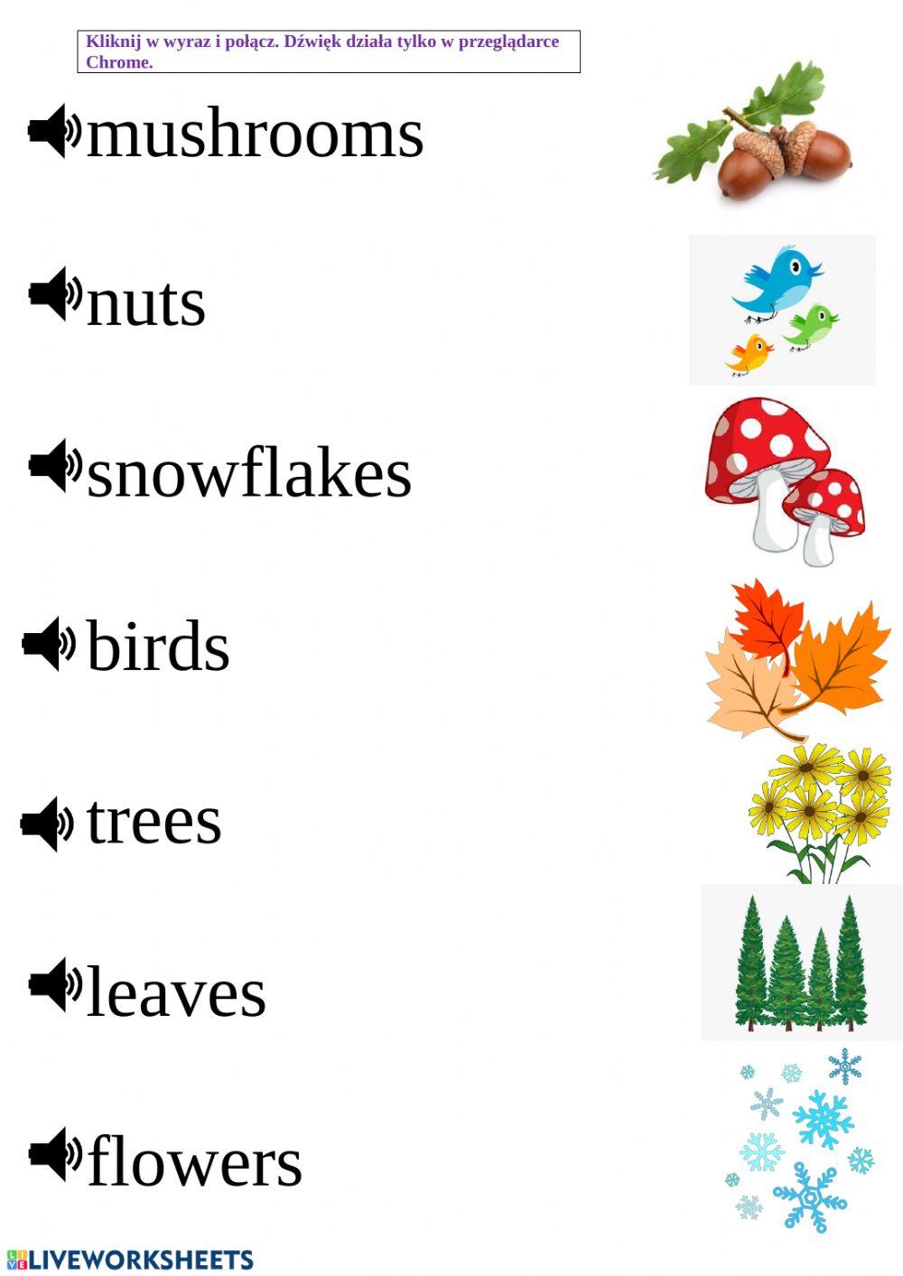 Explore Treetops 1 Autumn