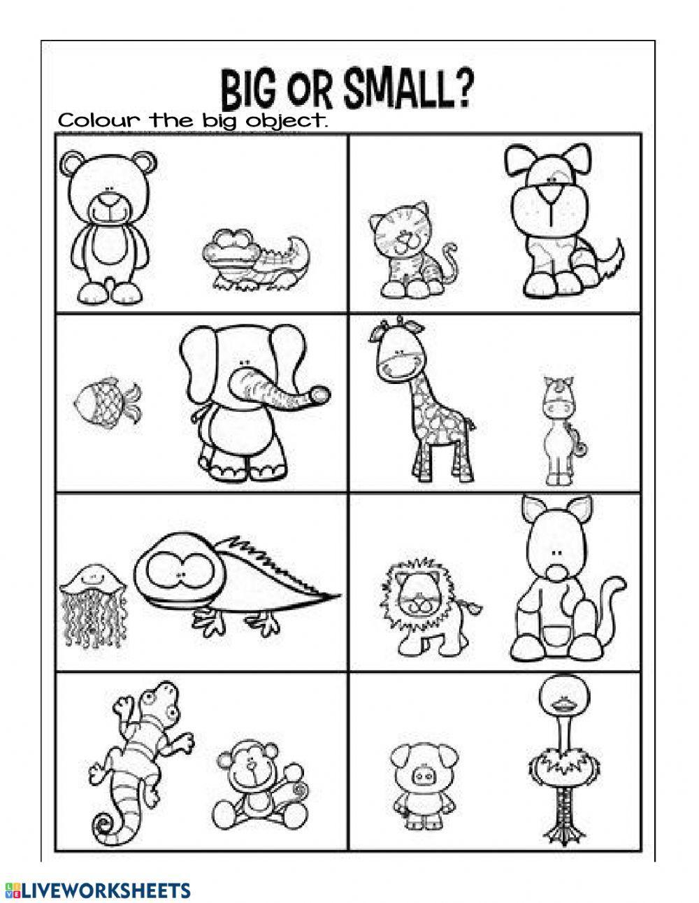 Big And Small Worksheets