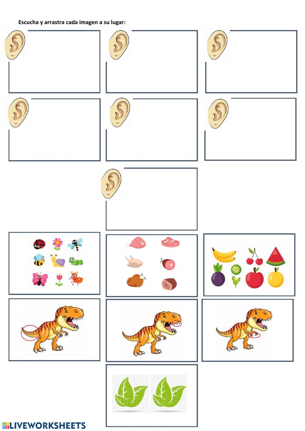 Carnivores and Herbivores