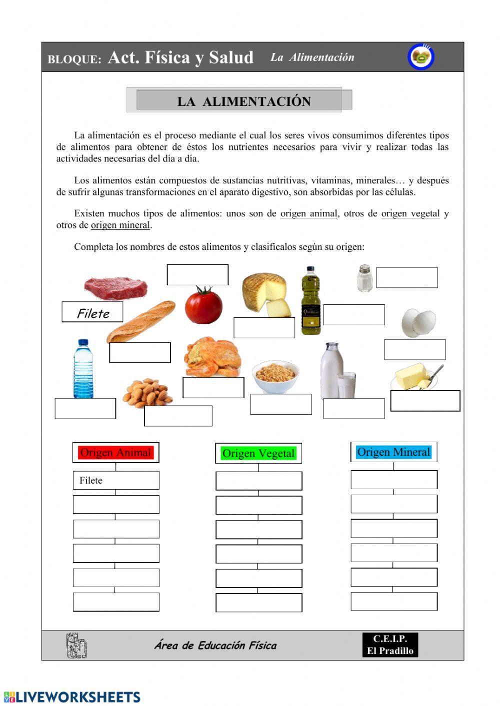 Alimentacion1