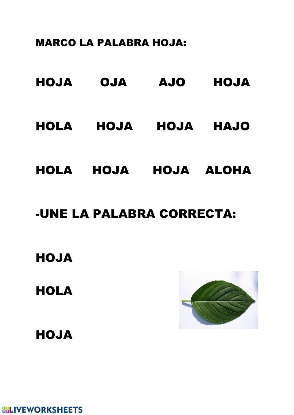 Busco la palabra hoja