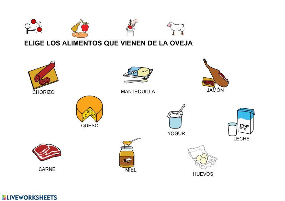 Alimentos derivados de la oveja