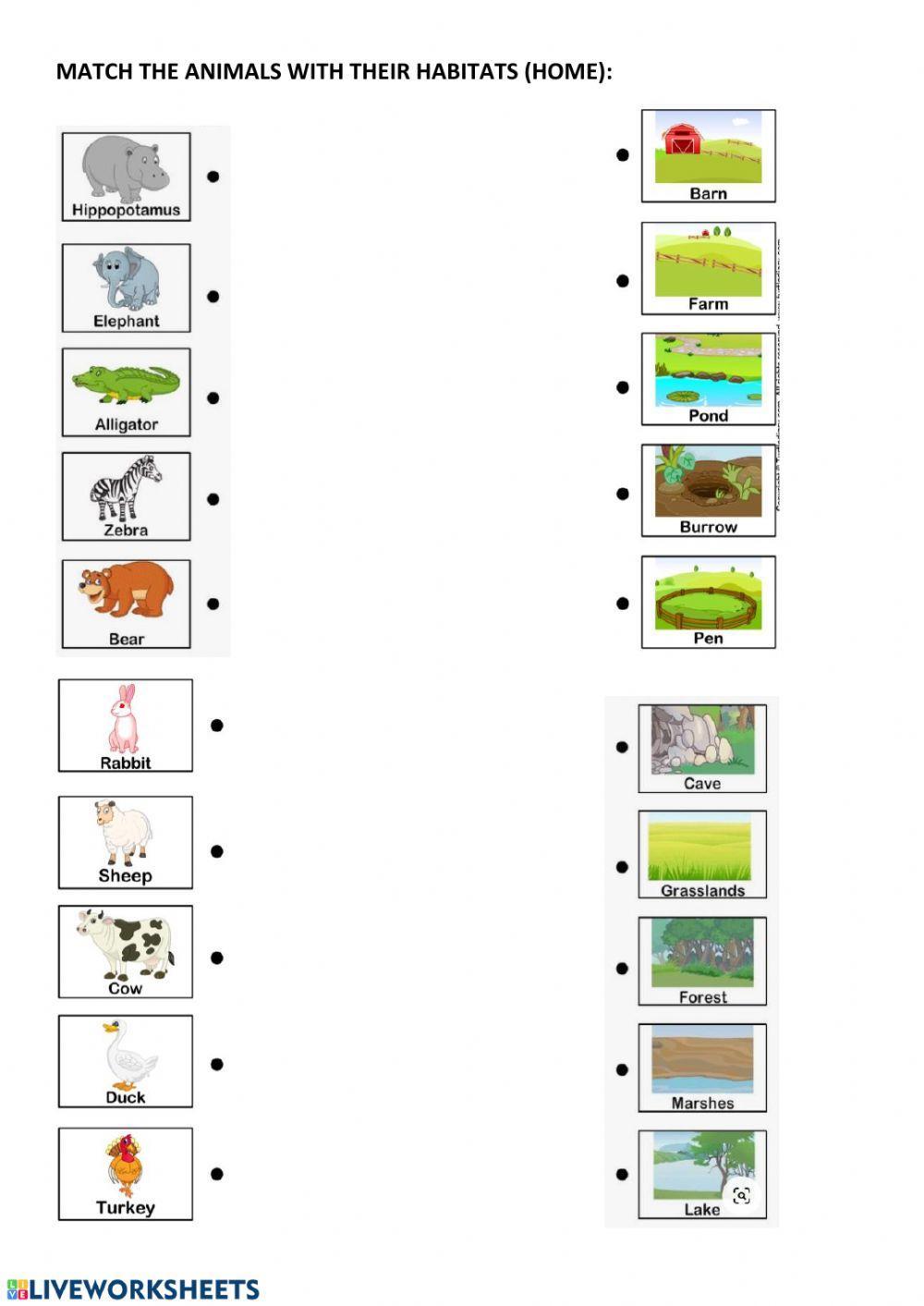 Animal habitats and home worksheet Live Worksheets