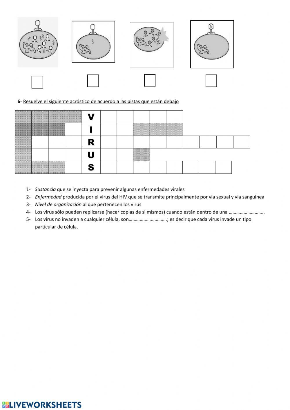 Célula y niveles de organización