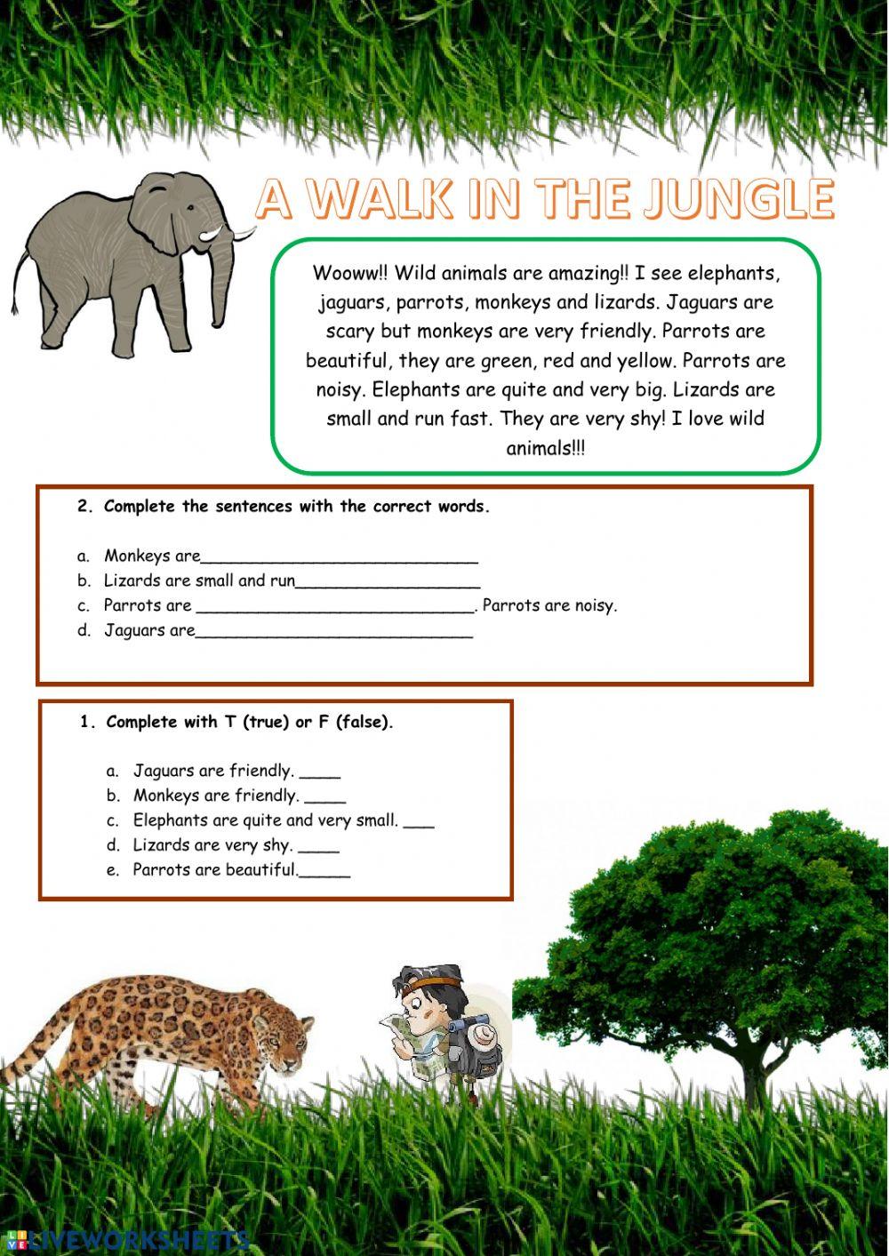 A Walk in the Jungle