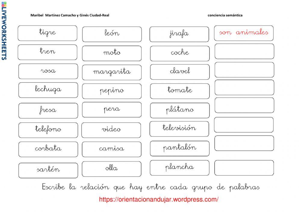 ¿Qué característica tienen en común?