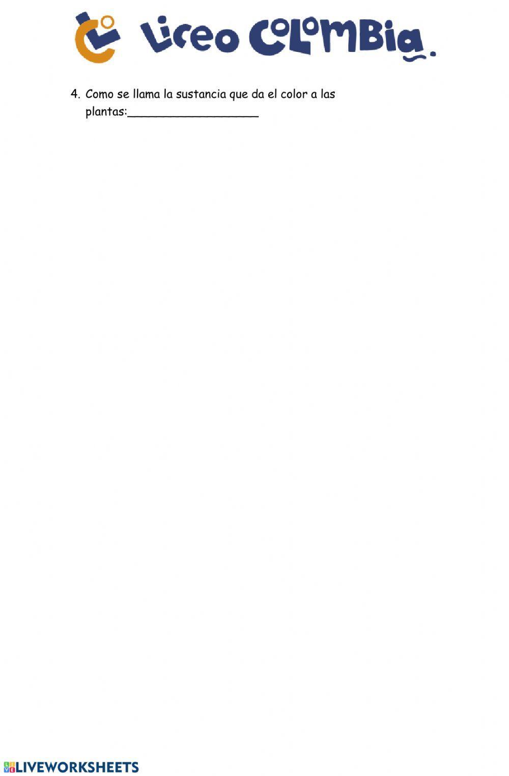 Reino fungi y vegetal