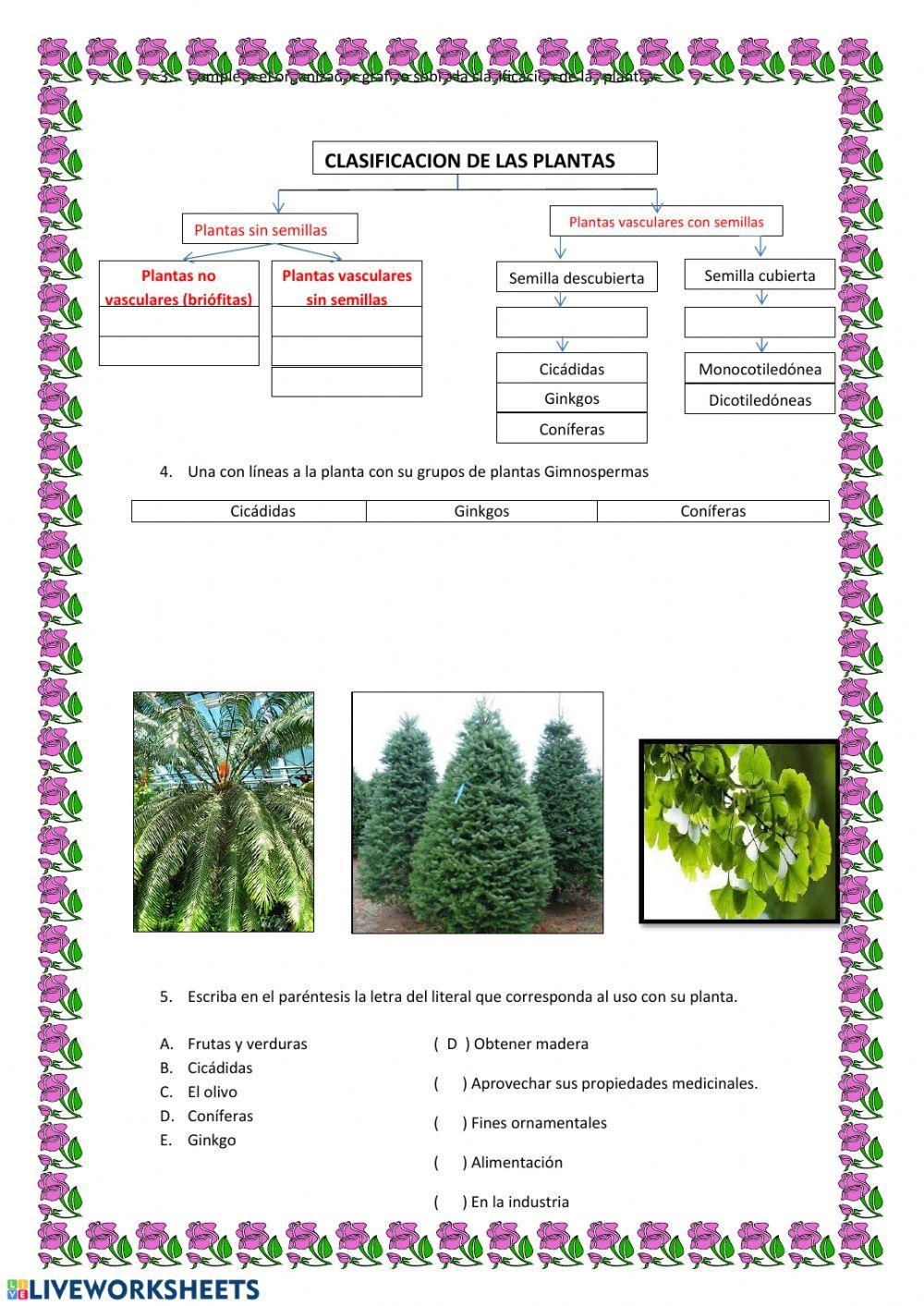 Plantas