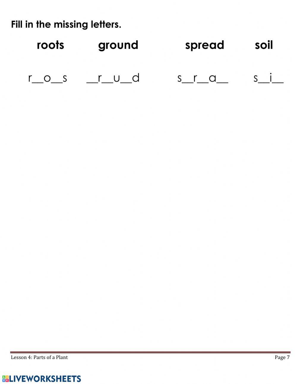 Parts of a Plant - P1