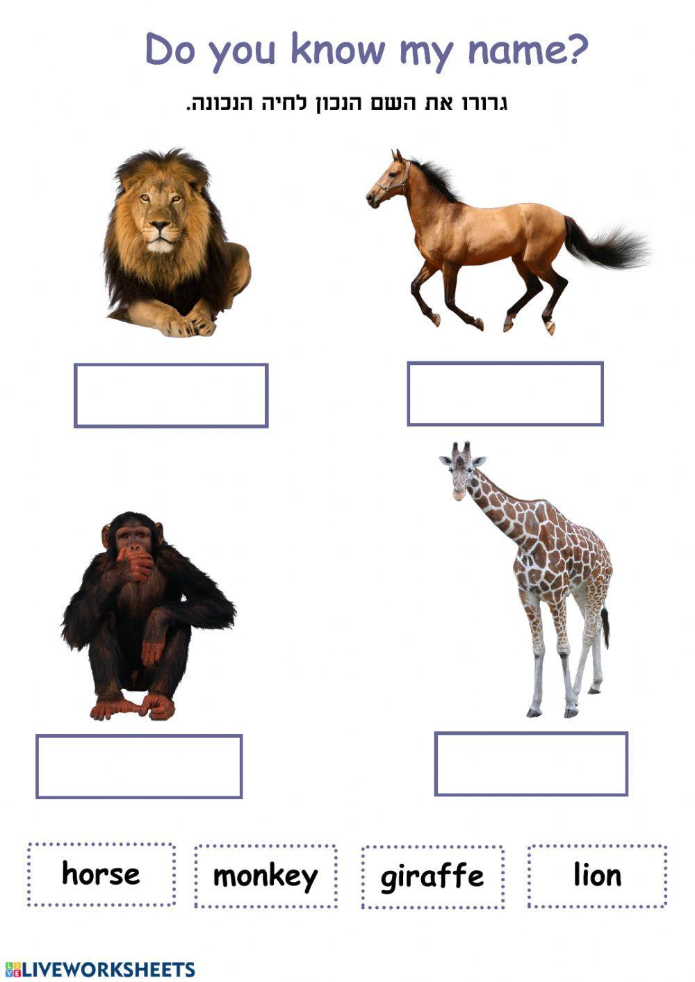 Do You Know My Name? - 2