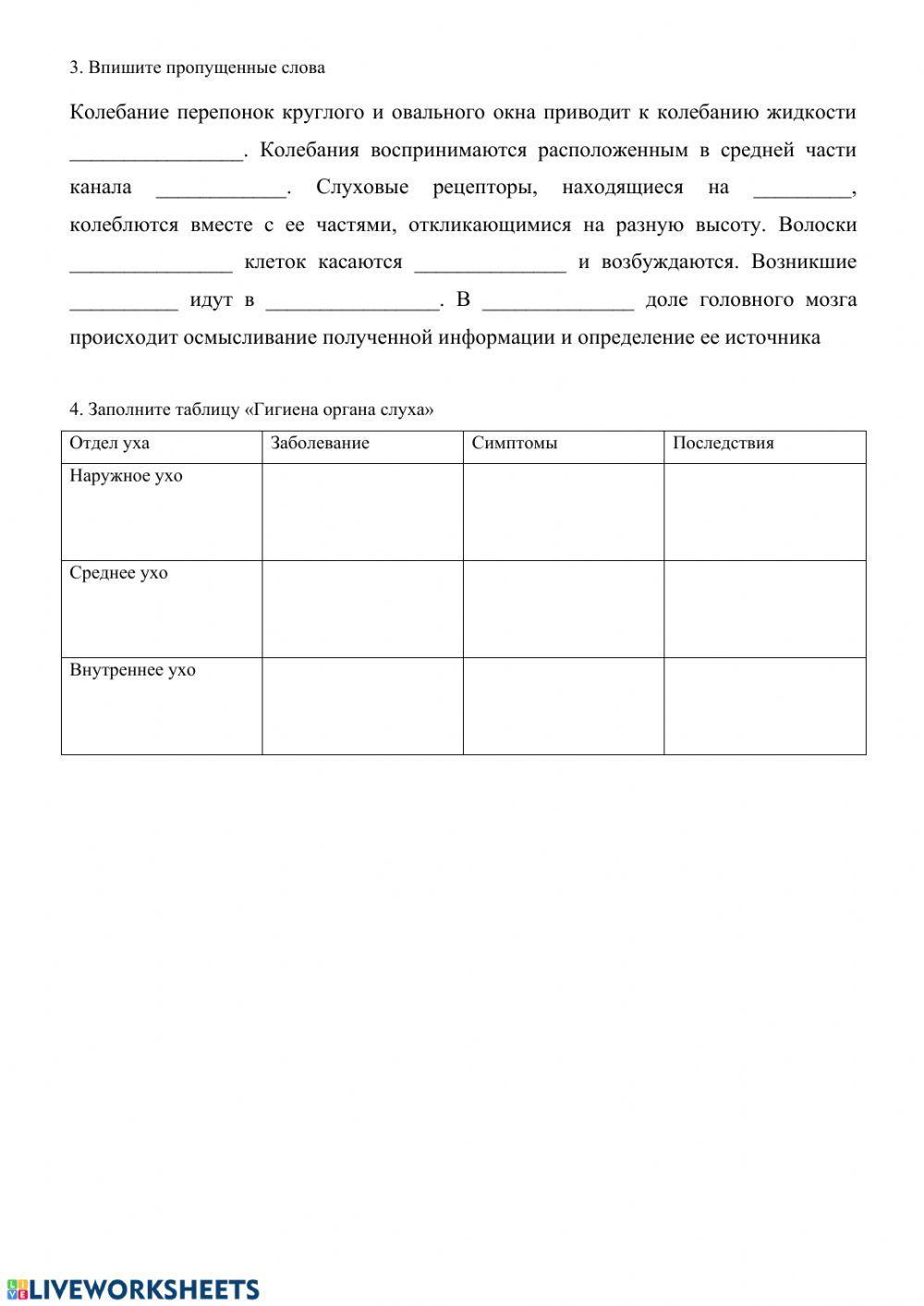 Слуховой анализатор