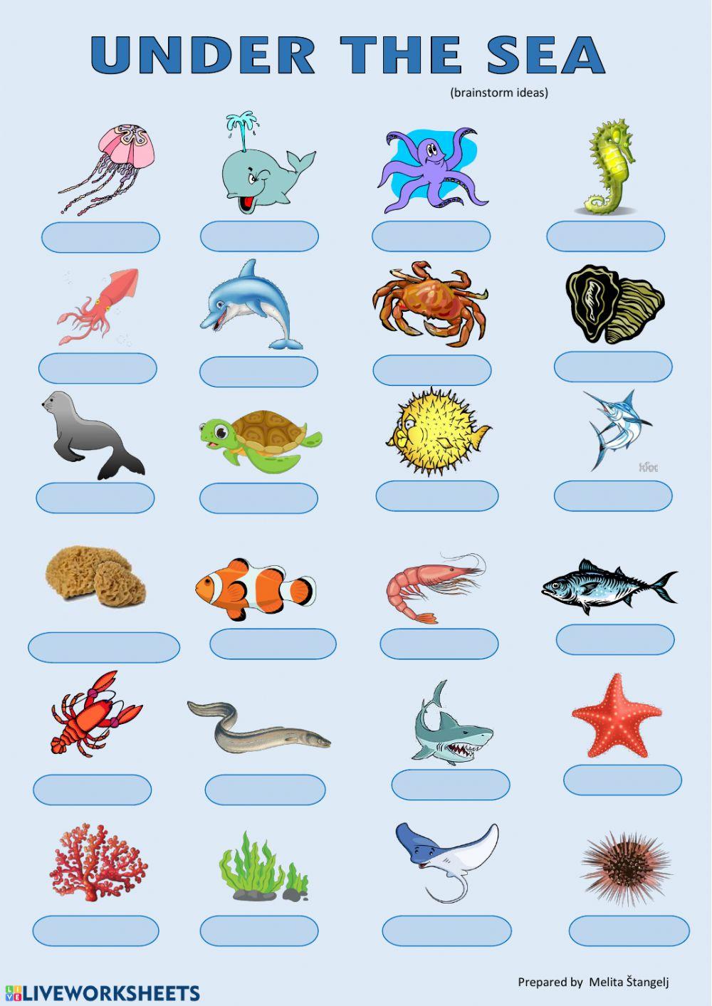 Sea animals