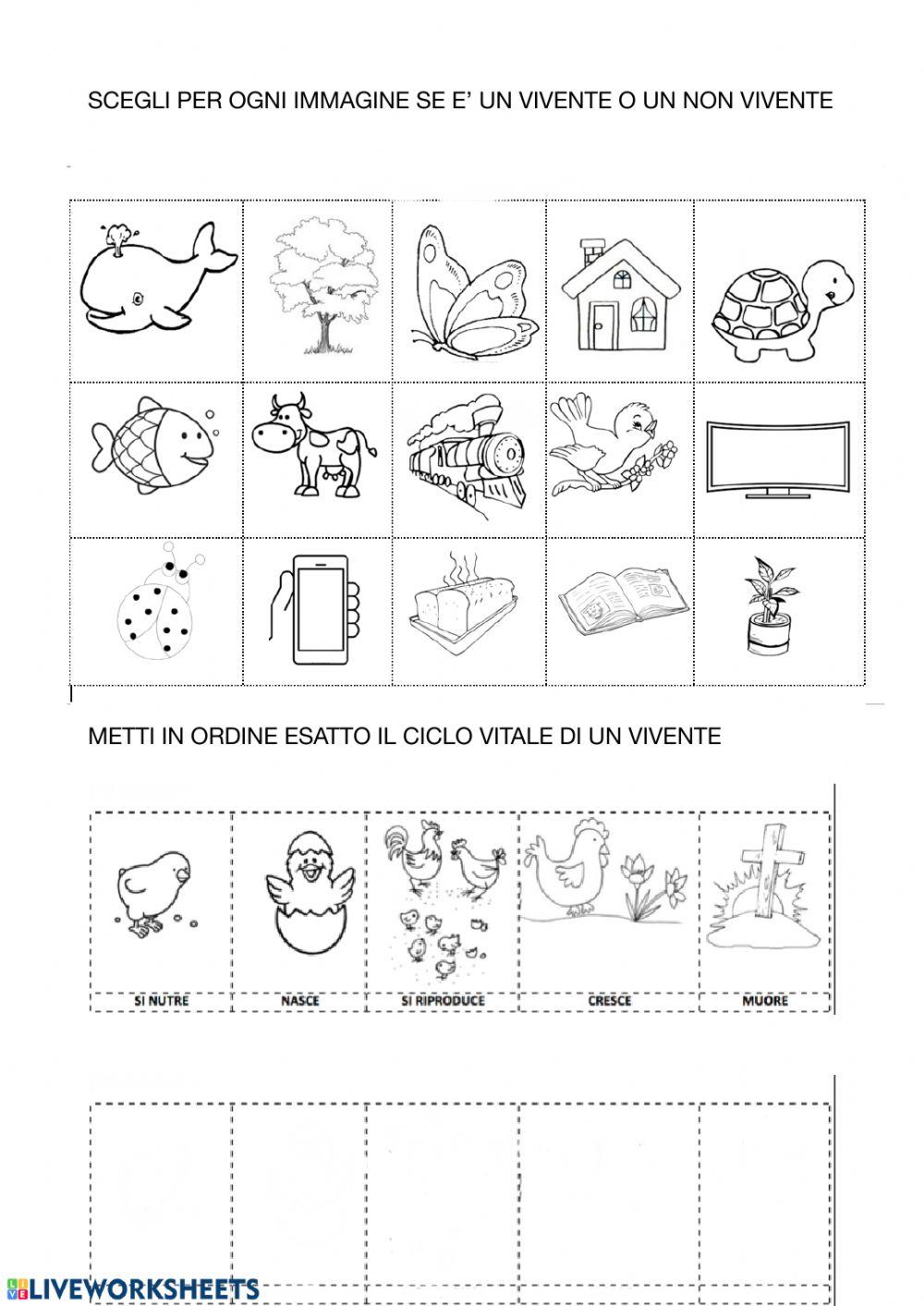 Viventi e non viventi