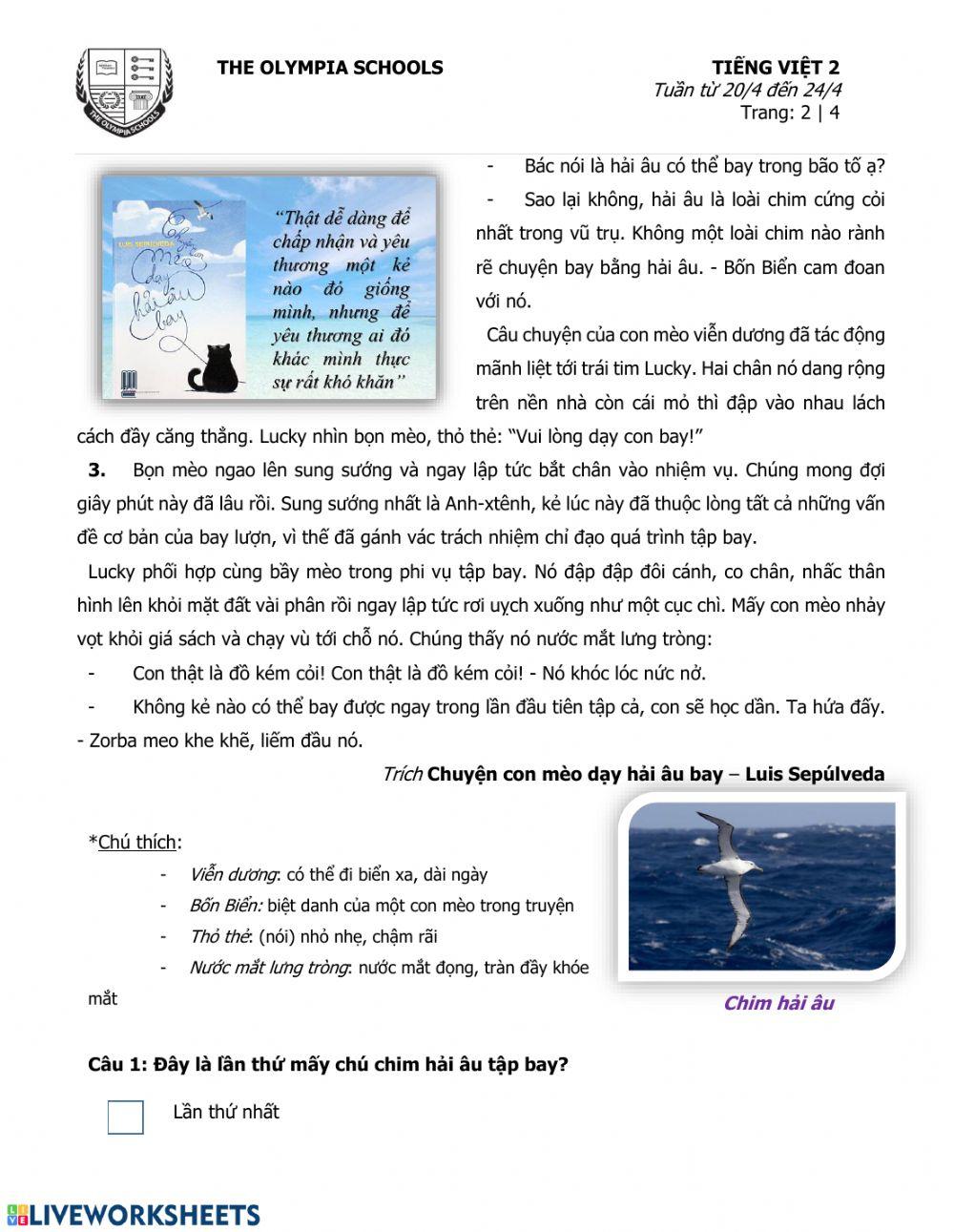 Phiếu số 1-Tuần 12