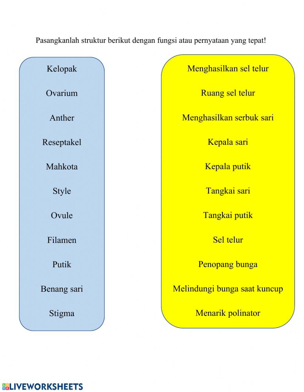 Struktur bunga dan fungsinya