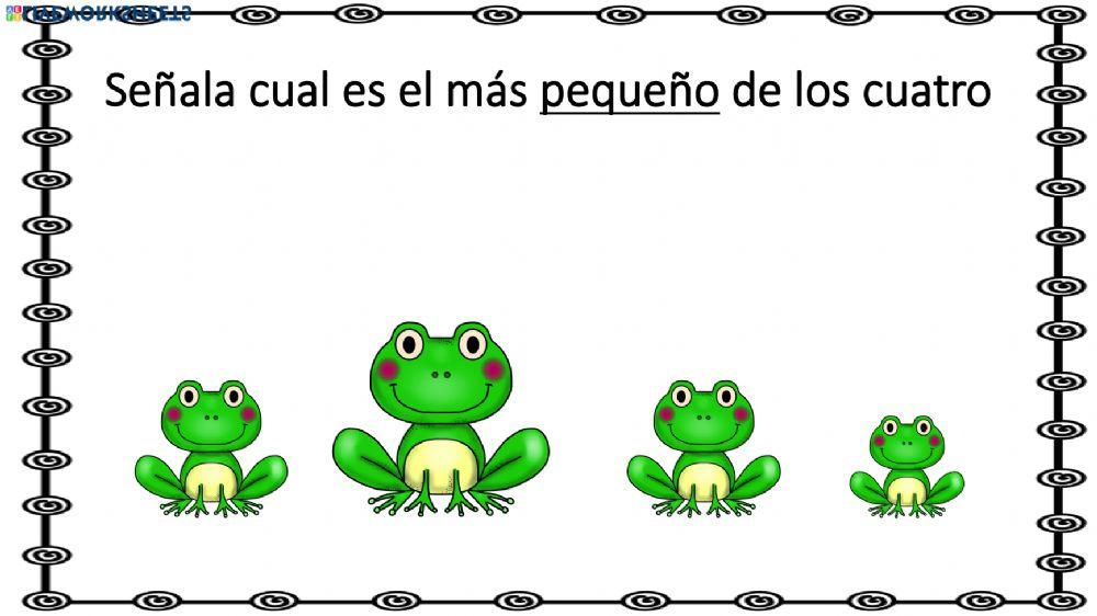 Concepto pequeño-grande Concepto pequeño-grande