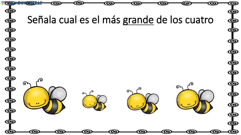 Concepto pequeño-grande Concepto pequeño-grande