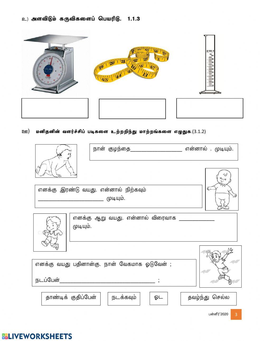 மதிப்பீட்டு பயிற்சி ஆண்டு 2 (ஆக்கம்:த.பன்னீர் செல்வம்)