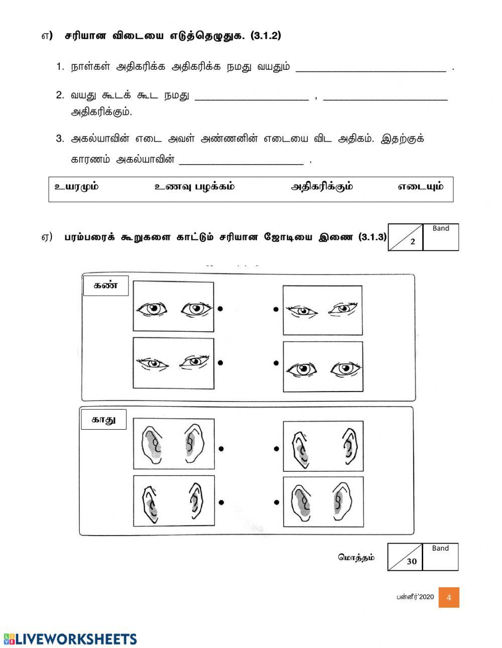 மதிப்பீட்டு பயிற்சி ஆண்டு 2 (ஆக்கம்:த.பன்னீர் செல்வம்)