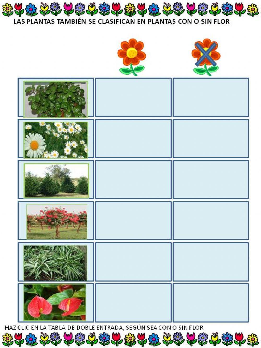 PLANTAS CON O SIN FLOR PLANTAS CON O SIN FLOR
