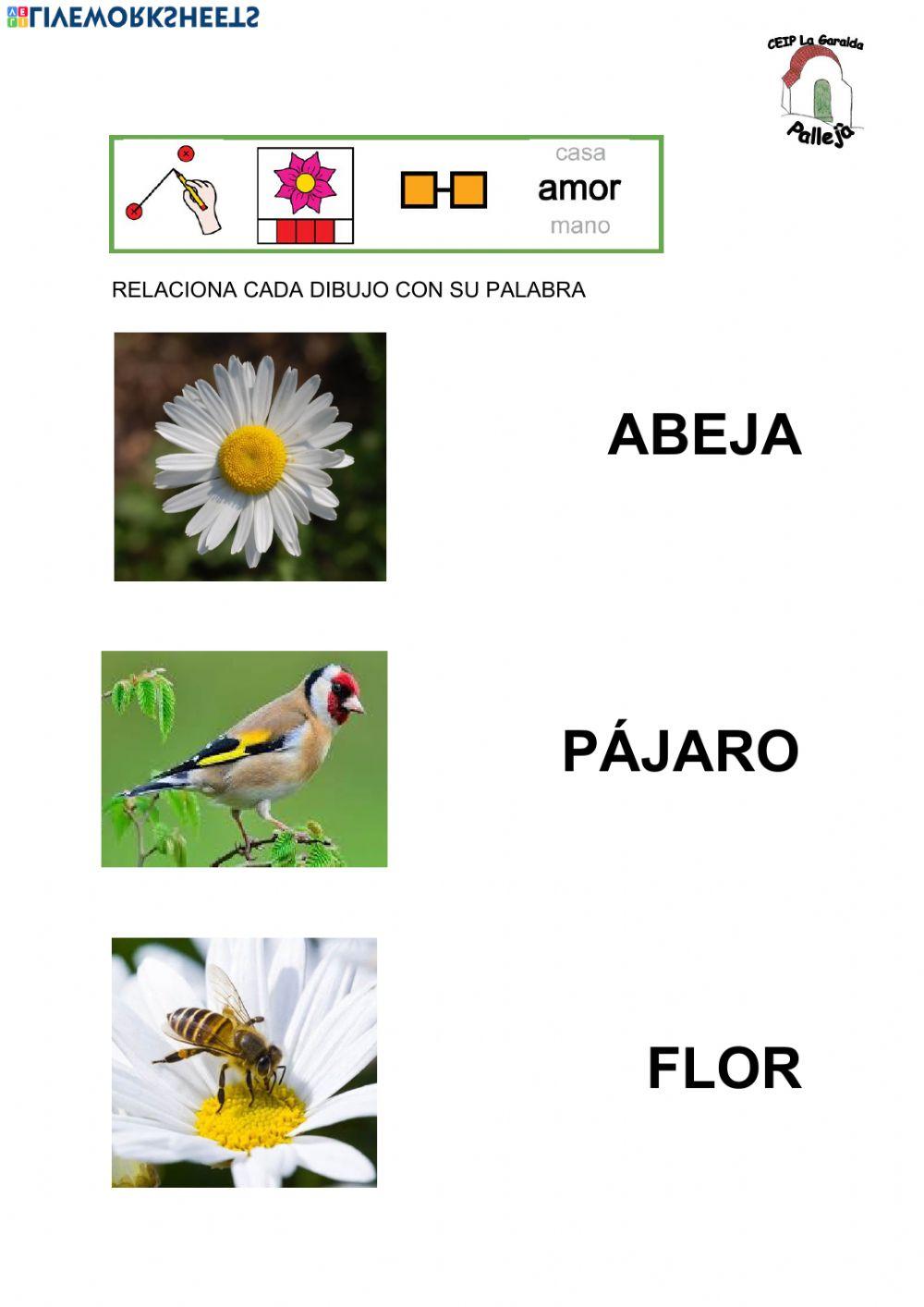 Une imágenes con palabras de la Primavera, semana 20-4