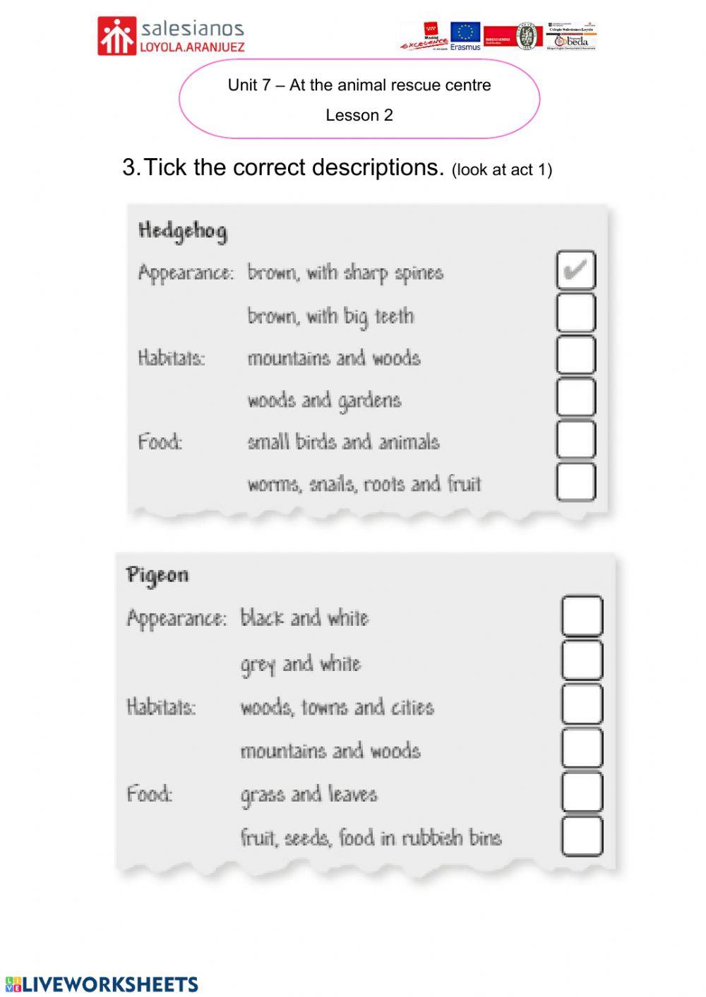 Lesson 2 Unit 7 English 5º