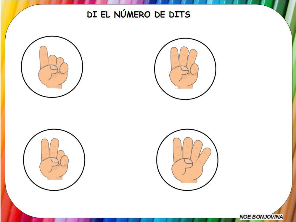 Conteo 5 Conteo 5