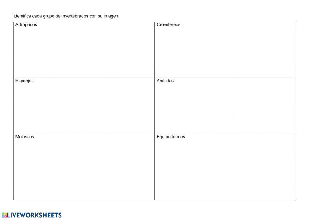 Clasificación de animales invertebrados