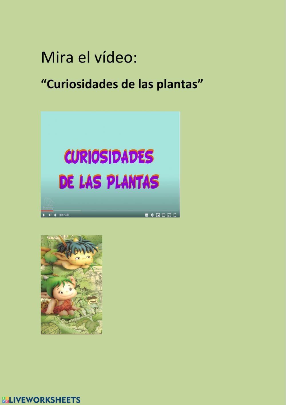 Curiosidades de las plantas