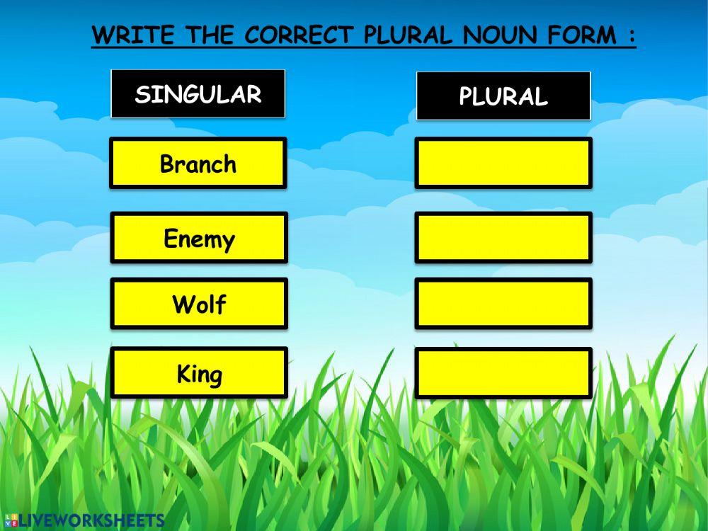 Plural noun forms