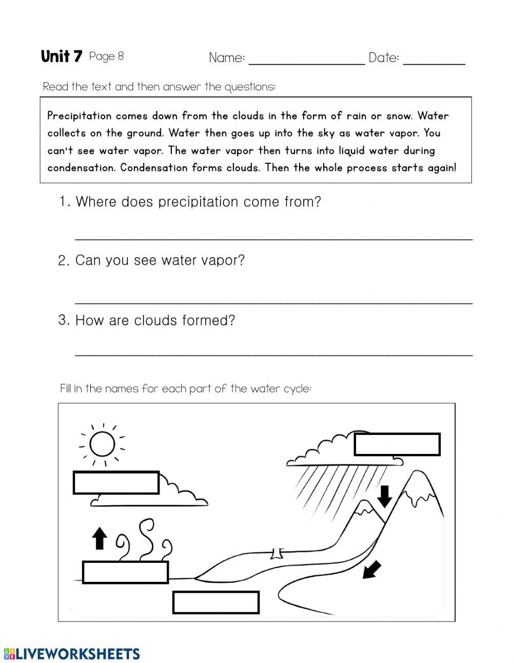 The Water Cycle - Day 3