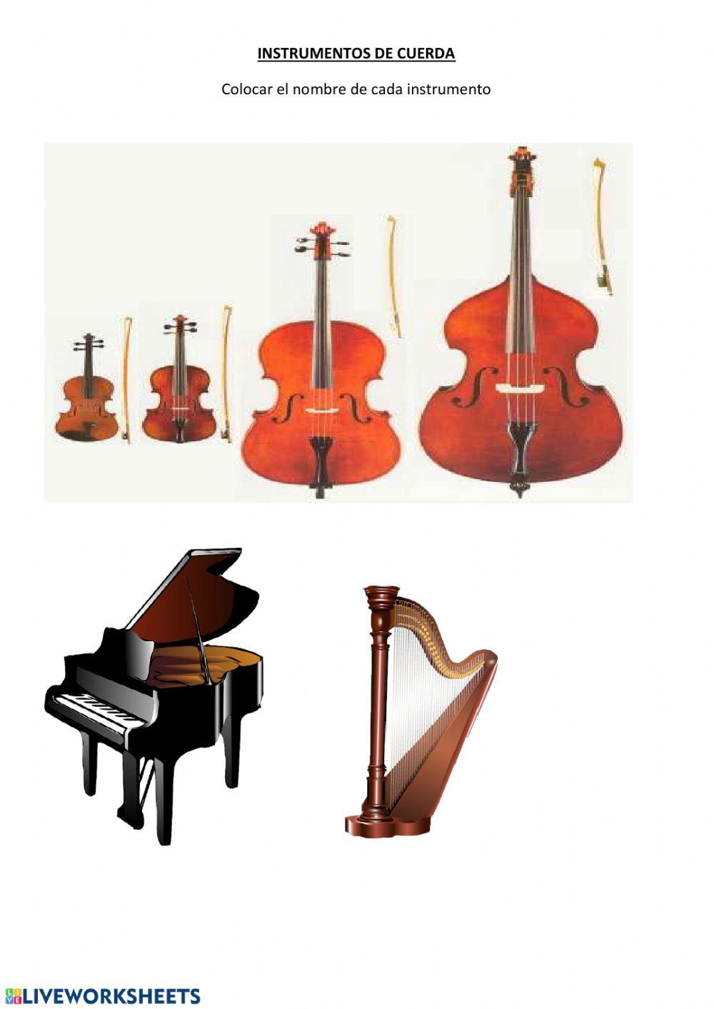 Orquesta sinfónica: instrumentos de cuerda