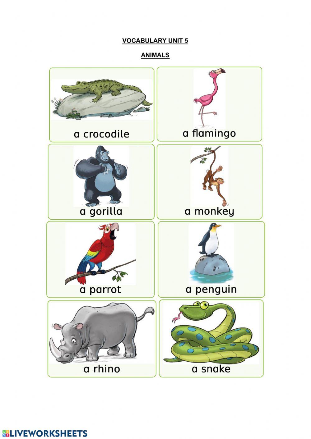 Vocabulary Unit 5- Flashcards